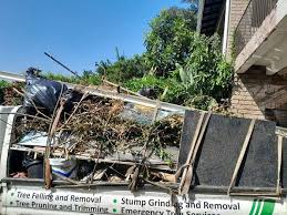 Best Recycling Services for Junk  in Plainfield, NJ